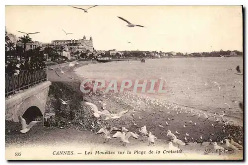 Ansichtskarte AK Cannes Les Mouettes sur la Plage de la Croisette