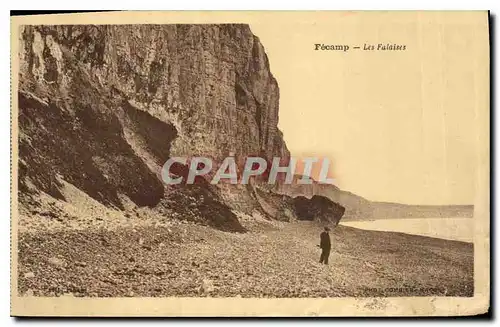 Ansichtskarte AK Fecamp Les Falaises