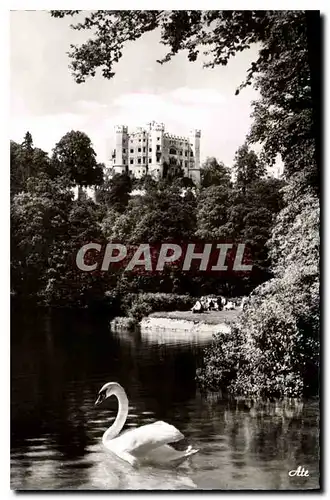 Cartes postales Schloss Hohenschwangau mit Alpsee