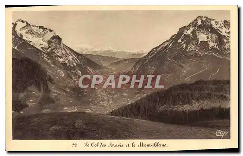 Ansichtskarte AK Le Col des Aravis et le Mont Blanc