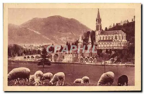 Cartes postales Lourdes la Basilique