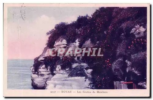 Cartes postales Royan les Grottes de Meschers