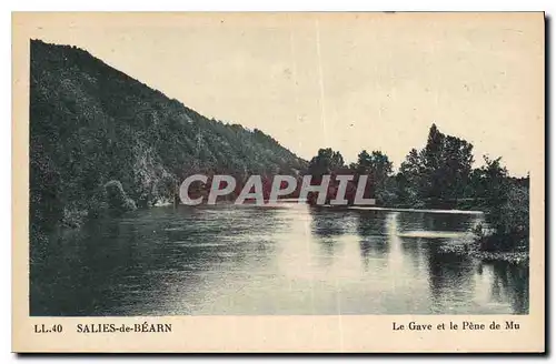 Cartes postales Salies de Bearn Le Gave et le Pene de Mu