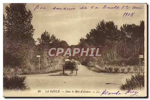 Cartes postales La Baule Dans le Bois d'Amour