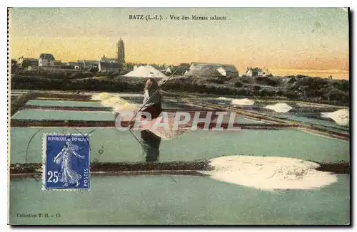 Cartes postales Batz Vue des Marais salants