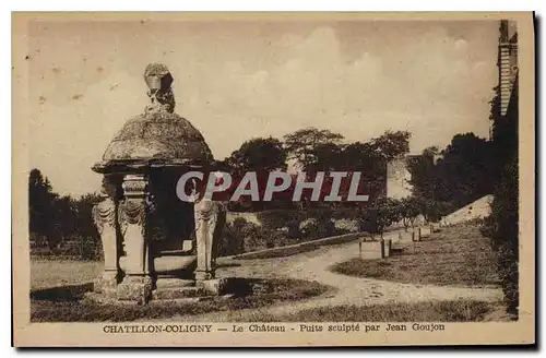 Cartes postales Chatillon Coligny Le Chateau le puits sculpe par Jeane Goujon