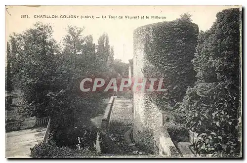 Ansichtskarte AK Chatillon Coligny Loiret La Tour de Vauvert et le Milleron