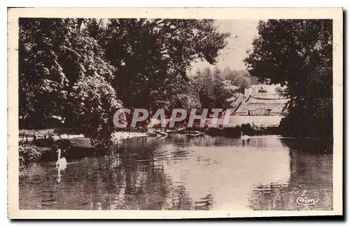 Cartes postales Valence Drome un coin du parc Jouvet