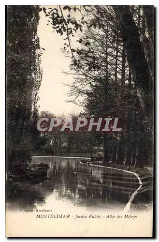 Cartes postales Montelimar jardin public Allee des Melezes