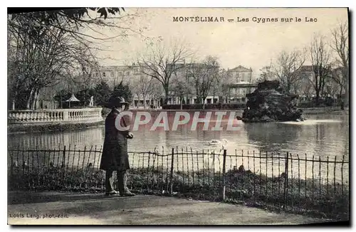 Cartes postales Montelimar les cygnes sur le lac