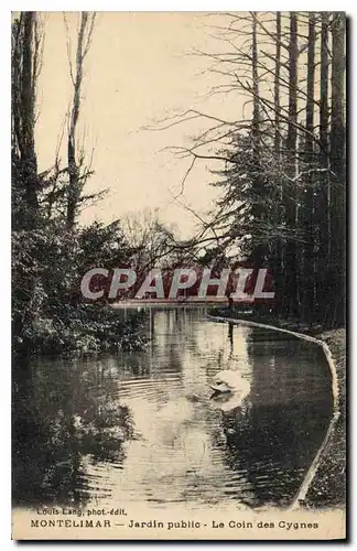 Cartes postales Montelimar jardin le coin des cygnes