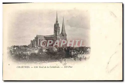 Cartes postales Chartres Cot� Nord de la Cathedrale