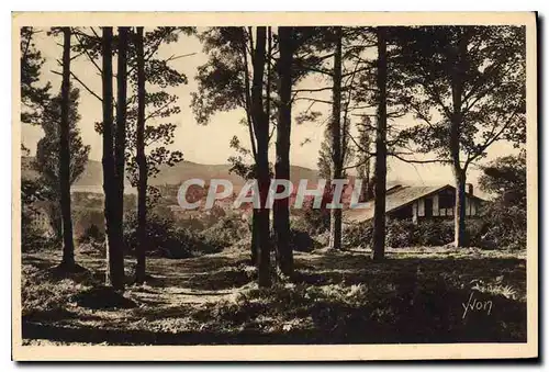 Ansichtskarte AK Hendaye(Basses Pyrenees) Cote Basque Le Bois d'Amour