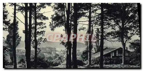 Cartes postales Hendaye(Basses Pyrenees) Cote Basque Le Bois D'Amour