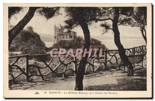 Cartes postales Le Chateau Basque vu a travers les Tamaris