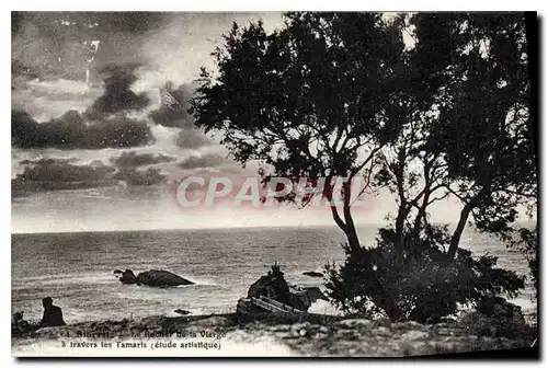 Cartes postales Biarritz Le Rocher de la Vierge a travers les Tamaris (etude artistique)