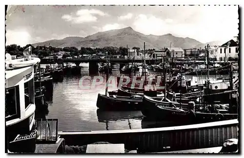 Cartes postales moderne Saint Jean de Luz Le Port au fond la Rhune Bateaux de peche