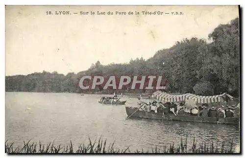 Ansichtskarte AK Lyon Sur le Lac du Parc de la Tete d'Or