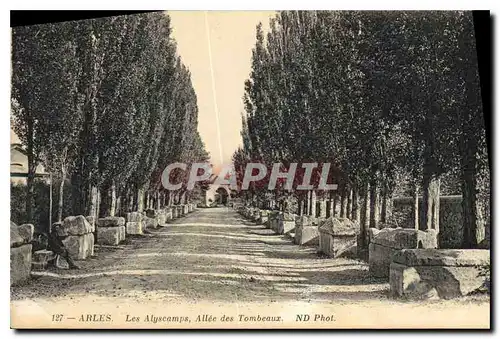 Ansichtskarte AK Arles Les Alyscamps Allee des Tombeaux