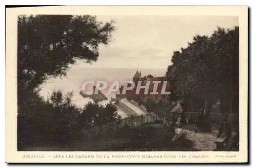 Cartes postales Biarritz Sours les Tamaris de la Perspective Miramar Cote des Basques