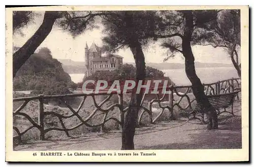 Cartes postales Biarritz Le Chateau Basque vu a travers les Tamaris