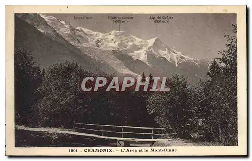 Cartes postales Chamonix L'Arve et le Mont Blanc