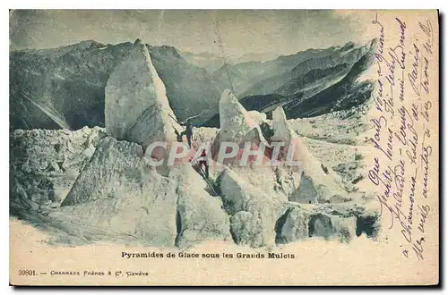 Cartes postales Pyramides de Glace sous les Grands Mulets Alpinisme