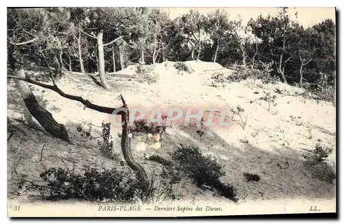 Cartes postales Paris Plage Derniers Sapins des Dunes