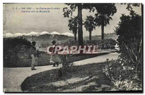 Cartes postales Pau La Chaine des Pyrenees Vue d'un coin du Boulevard