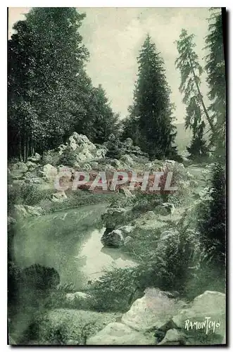 Cartes postales Pau Jardin de Plantes de Montagne