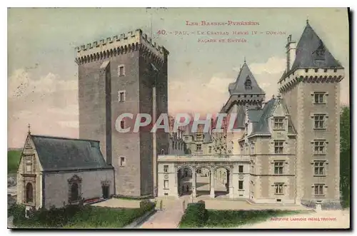 Cartes postales Les Basses Pyrenees Pau Le Chateau Henri IV