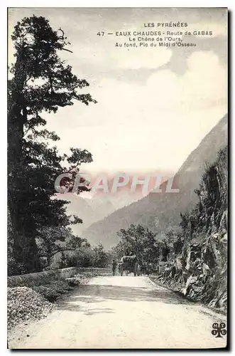 Ansichtskarte AK Eaux Chaudes Route de Gabas Le chene de l'ours Au fond pic du Midi d'Osseau