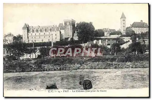 Cartes postales Pau Le Chateau vue prise du Gave