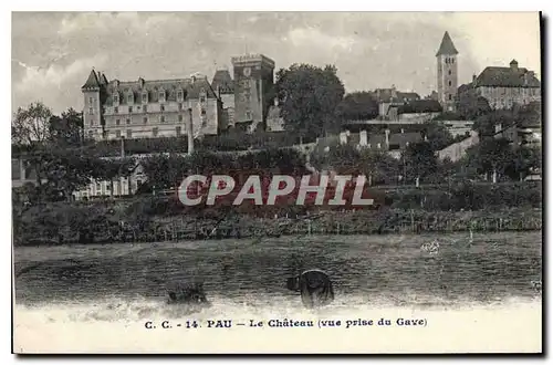 Cartes postales Pau La Chateau vue prise du Gave