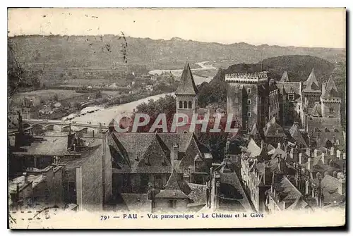 Cartes postales Pau Vue panoramique Le Chateau et le Gave