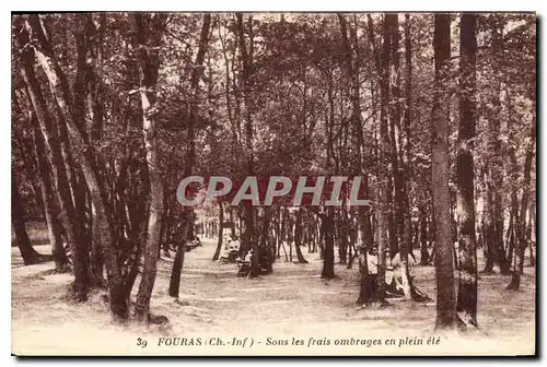 Cartes postales Fouras Sons les frais ombrages en plein ete