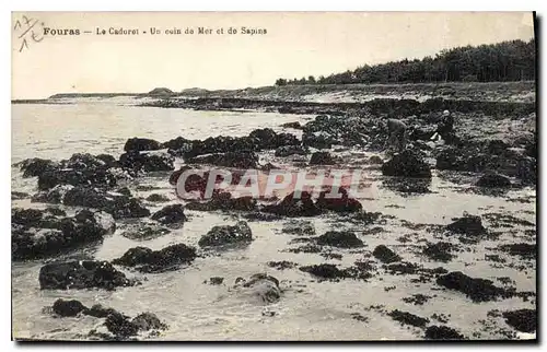 Cartes postales Fouras Le Cadorel Un coin de Mer et de Sapins