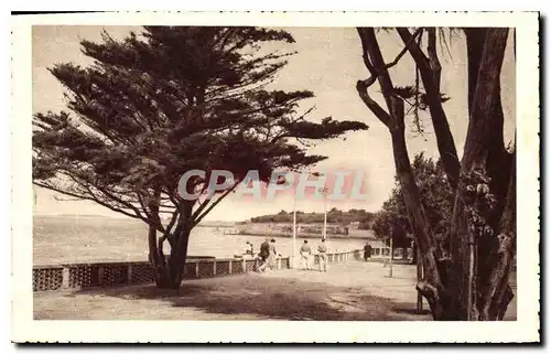 Cartes postales Fouras les Bains Charente Promenade des Sapinettes dominant la grande plage