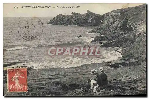 Cartes postales Fourras Les Bains La Pointe du Decolle Chien