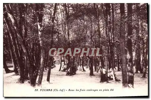 Cartes postales Fouras Sous les frais ombrages en plein ete