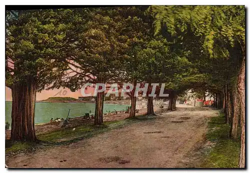 Cartes postales Fouras Boulevard de l'Ocean