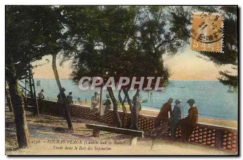 Cartes postales Fouras Plage Etude dans le Bois des Sapinettes