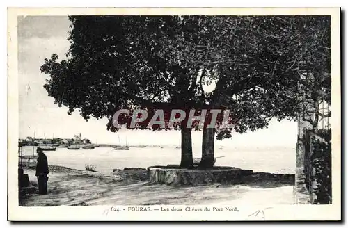 Cartes postales Fouras Les deux Chenes du Port Nord