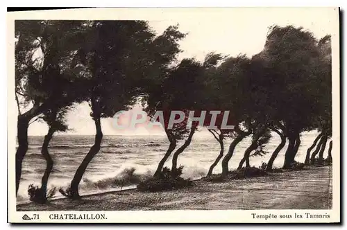 Cartes postales Chatelaillon Tempete sous les Tamaris