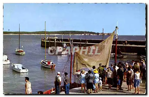 Cartes postales moderne Saint Georges de Didonne Un coin du Port Bateaux de peche