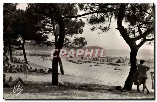 Cartes postales moderne St Georges de Didonne Charente Maritime La Plage depuis la Foret