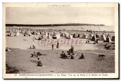 Cartes postales Saint Georges de Didonne La Plage Vue sur la Foret a la Pointe de Suzac