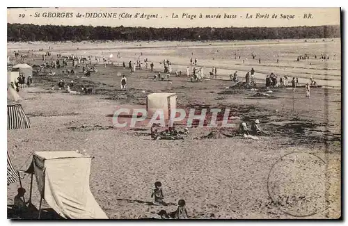 Ansichtskarte AK St Georges de Didonne Cote d'Argent La Plage a maree basse La Foret de Suzac