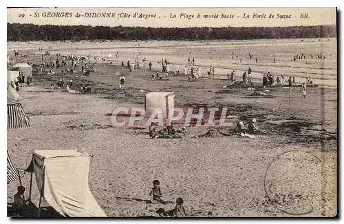 Cartes postales St Georges de Didonne Cote d'Argent La Plage a maree basse La Foret de Suzac