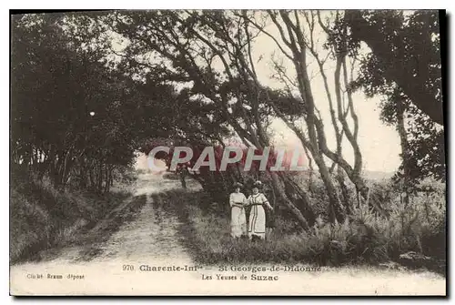 Cartes postales Charente Inf St Georges de Didonne Les Yeuses de Suzac